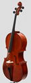 INNEO Cello -Premium Spruce and Maple