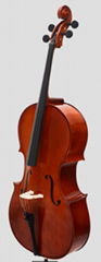 INNEO Cello -Premium Spruce and Maple