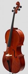 INNEO Cello -Premium Spruce and Maple