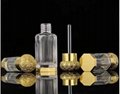 High Quality Golden Slivery Glass Oil Bottle 2