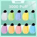 Valedna Wholesale Cheap Nasty Disposable 3000 puff vape 4