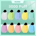 Valedna Wholesale Cheap Nasty Disposable 3000 puff vape