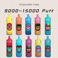 VALEDNA Disposable 9000 puff vape