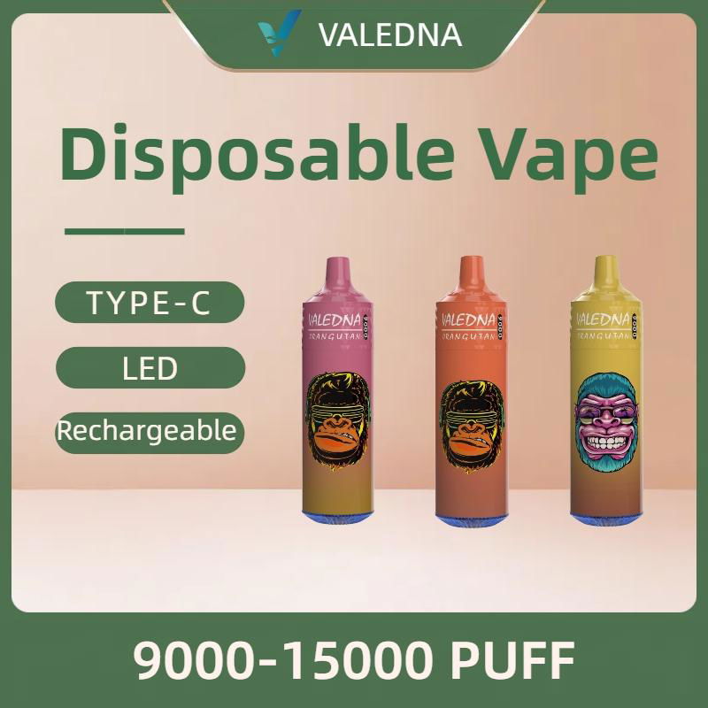 VALEDNA Disposable 9000 puff vape 2