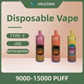 VALEDNA Disposable 9000 puff vape 2