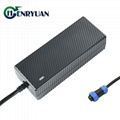 12S 44.4V Lithium Ion Battery 50.4V 2A