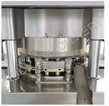 Zp-27A Salt Rotary Tablet Pressing