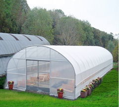 Single-span Agriculture Greenhouse