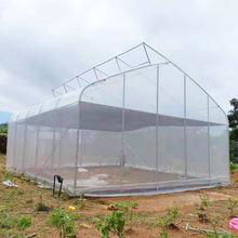 Single-span Agriculture Greenhouse Tunnel Greenhouse 3