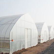 Single-span Agriculture Greenhouse Tunnel Greenhouse 4