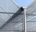 Growing Systems Serre Agricole Large Film Multi-span Agricultural Greenhouses 3