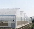 Growing Systems Serre Agricole Large Film Multi-span Agricultural Greenhouses 4