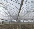 Growing Systems Serre Agricole Large Film Multi-span Agricultural Greenhouses 2