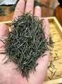 China China Green Tea Best Quality LBest Quality Low Price Factory Chunmee 41022