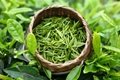 China China Green Tea Best Quality LBest Quality Low Price Factory Chunmee 41022 3
