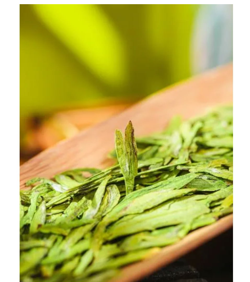 Chinese Green Tea of Whole Leaves or Buds 2