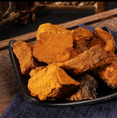 Inonotus Obliquus （Chaga）Extract