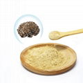 Grifola Frondosa（Maitake）Extract 4