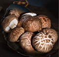  Lentinus Edodes（Shiitake) Extract