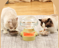 Automatic water feeder 4