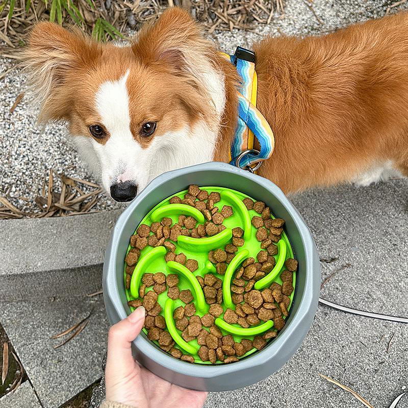 Slow Feeder Dog Bowl 3