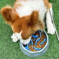 Slow Feeder Dog Bowl