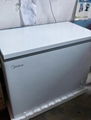 Home Large Freezer 1