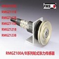 FMS張力傳感器RMGZ100