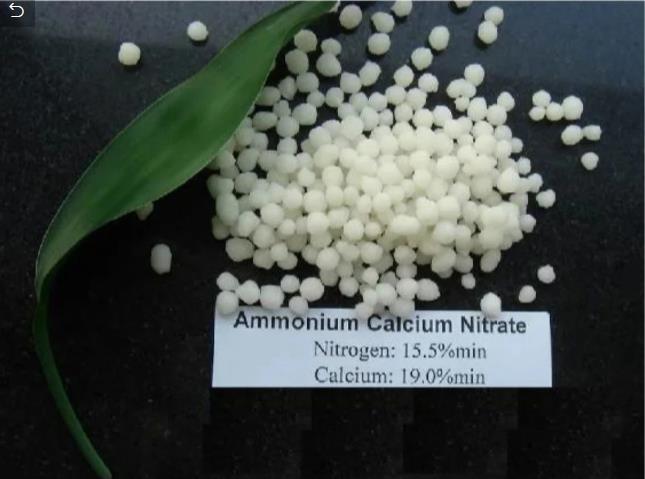 High Quality Agriculture Nitrogen Fertilizer Calcium Nitrate Granular