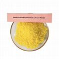 Calcium Ammonium Nitrate Yellow Granular Nitrogen Fertilizer N15.5%Min Cal18.5%M 1