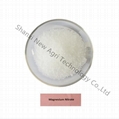 Magnesium Nitrate White Powder Nitrogen