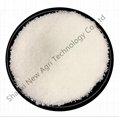 Potassium Nitrate White Powder Nitrogen