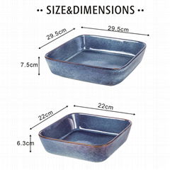 2PC Square Baking Dish