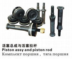 Piston assy and piston rod