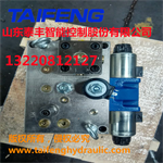 山东泰丰液压标准315系统YN32-315HXCV 3