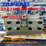 山東泰豐專業生產二通插裝閥YN32-100GSCV 2