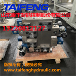 泰豐供應南通YN32-1250XCV標準1250噸插裝閥系統