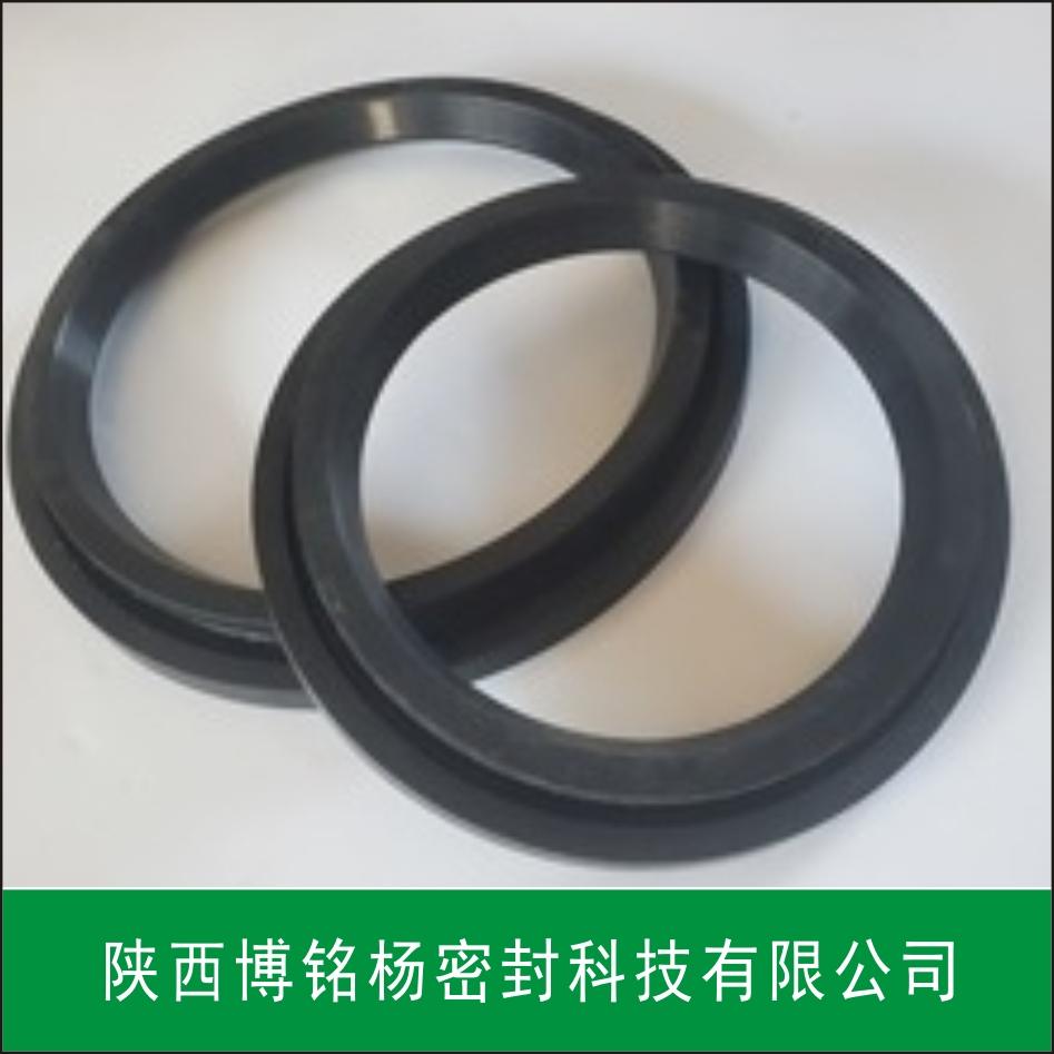 耐磨損耐擠出SPGC密封圈 密封件 4