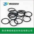 EPDM/FKM/NBR/VITON/AFLAS/HNBR密封圈O型圈厂家