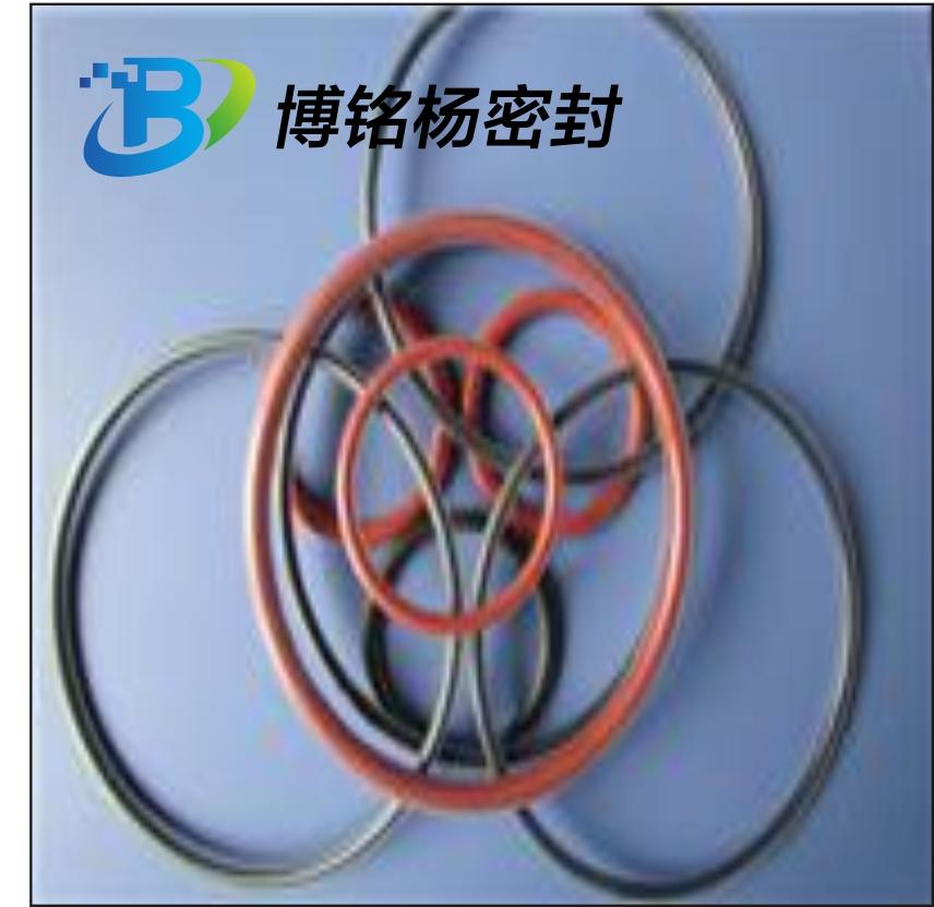 FEP/FPA聚乙丙烯包覆密封圈FKM/FPM氟胶O型圈 2