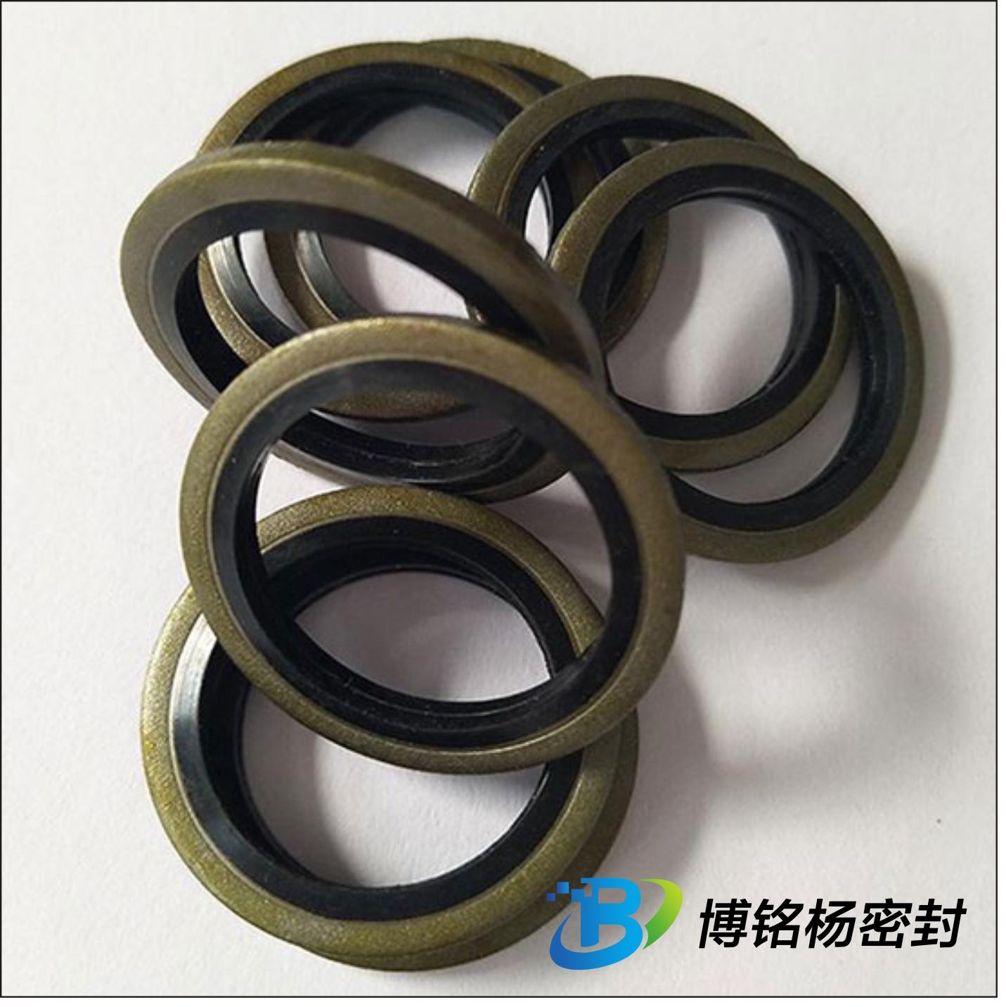 FEP/FPA聚乙丙烯包覆密封圈FKM/FPM氟胶O型圈 5