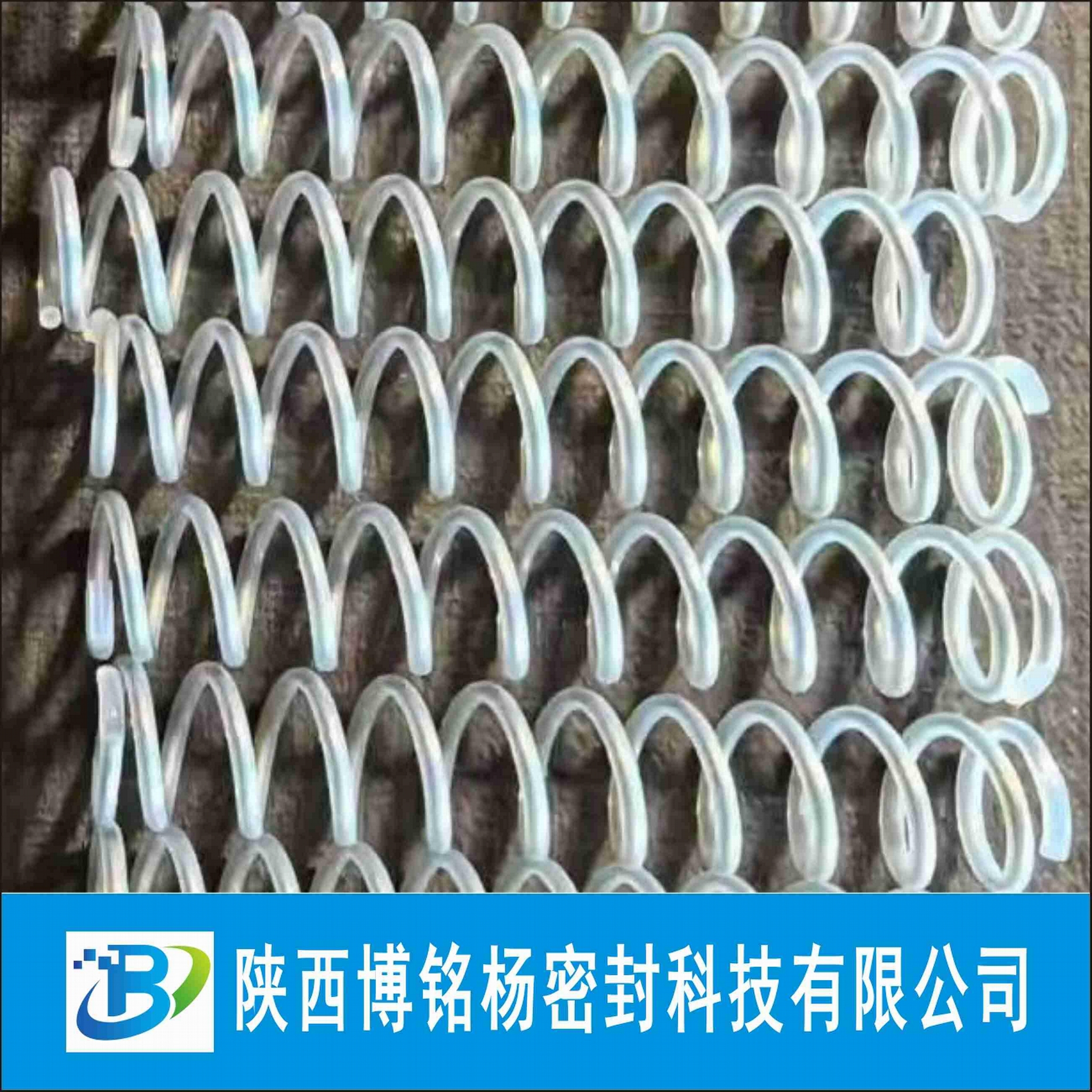 耐腐蝕PFA內包硅膠氟膠VITON密封圈PTFE包覆圈包彈簧 2