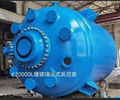 Acid and alkali resistant closed glass lined reactor supply