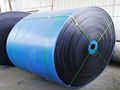 Steel Cord Elevator Conveyor Belt