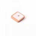 AntennaHome Internal GPS, CHIP On Board, GPS/BD Passive Antenna Series  AHGG.24X