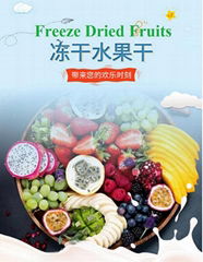 Manufacturer Wholesale Freeze Dried Mixed Fruits Healthy Snack Dry Fruit