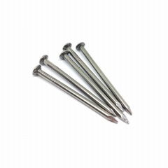 Common Wire Nails