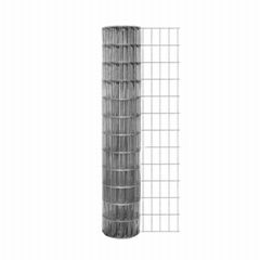 Welded Wire Mesh