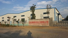 Hebei Shunxing Import and Export Co., Ltd Hebei Shunxing Import and Export Co., Ltd