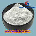 Sodium Dodecylbenzenesulphonate CAS 25155-30-0 2